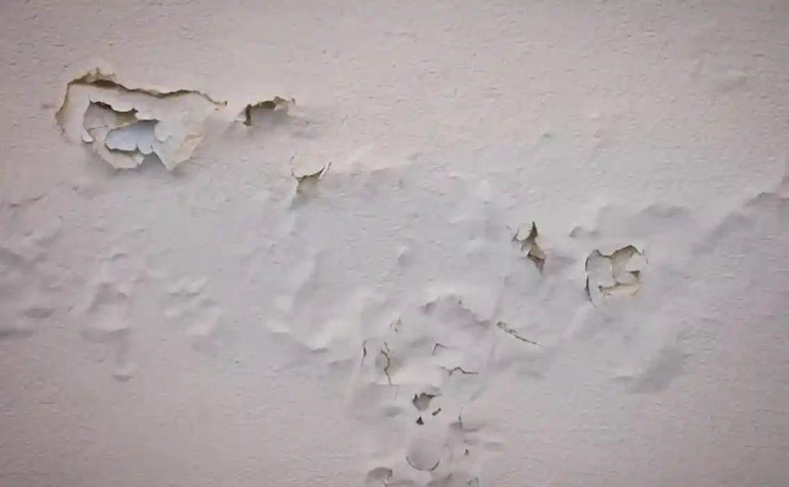 Discover how to avoid common mistakes in painting interior walls for a pro finish. Expert tips on prep, tools, and techniques to prevent pitfalls.