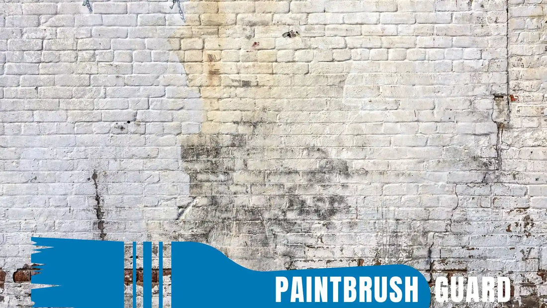 How long does white wash brick last? Practical advice