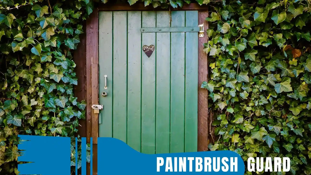 Is painting an exterior door cheaper than buying a new one? Compare costs, $100 to $300 for painting vs. $500 to $2000 for a new door, with tips to save money.